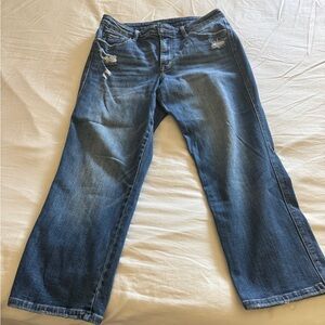 Lovervet women’s ankle denim jeans size 31 / 13 blue denim pants